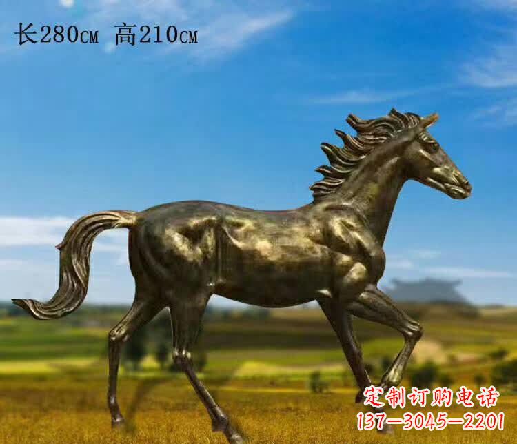 漯河新马之精髓