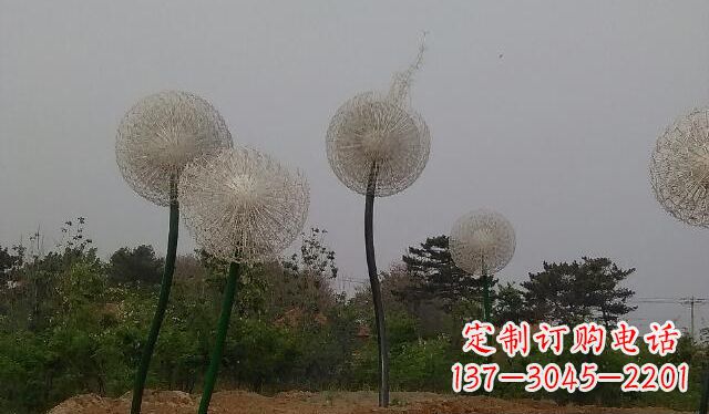 漯河蒲公英的绚丽多彩