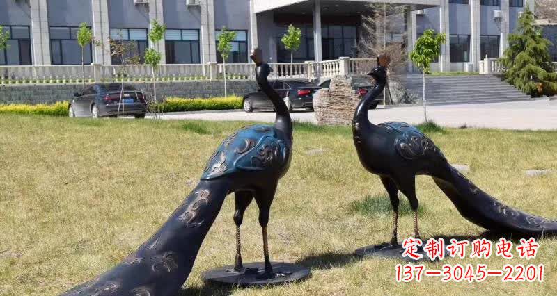 漯河领雕塑-孔雀铜雕，高雅精美的艺术精品