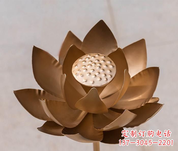 漯河铜雕景观荷花