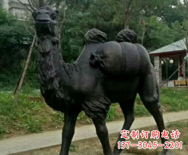漯河驮行李的骆驼铜雕